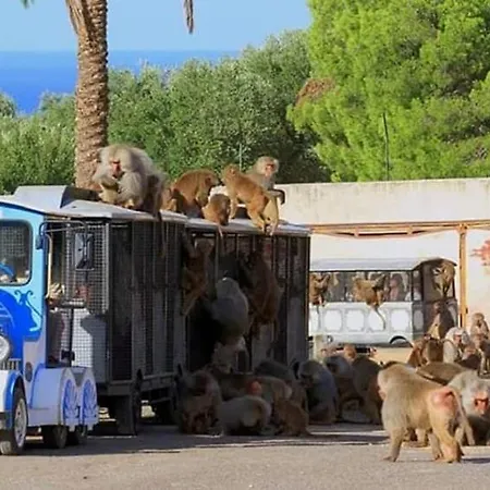 Flower House Guest house Fasano