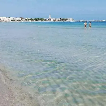 Flower House Guest house