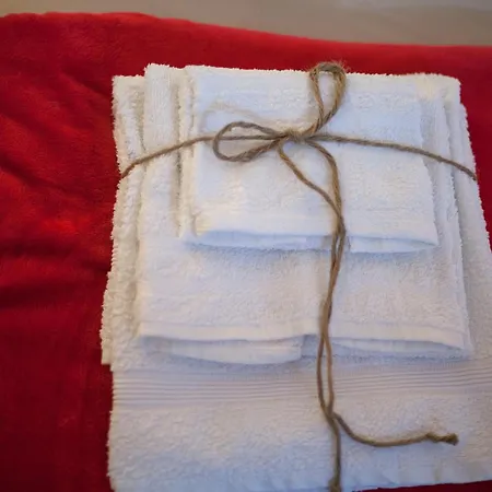 Guest house Flower House