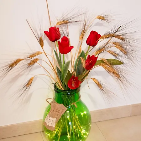 Flower House 파사노